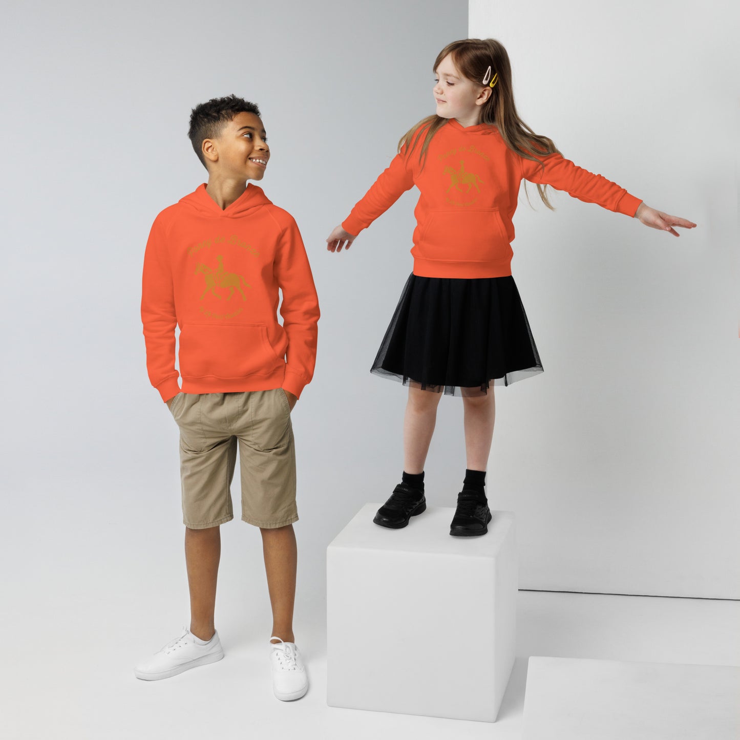 Sweat à capuche coton bio - Poney de Bronze