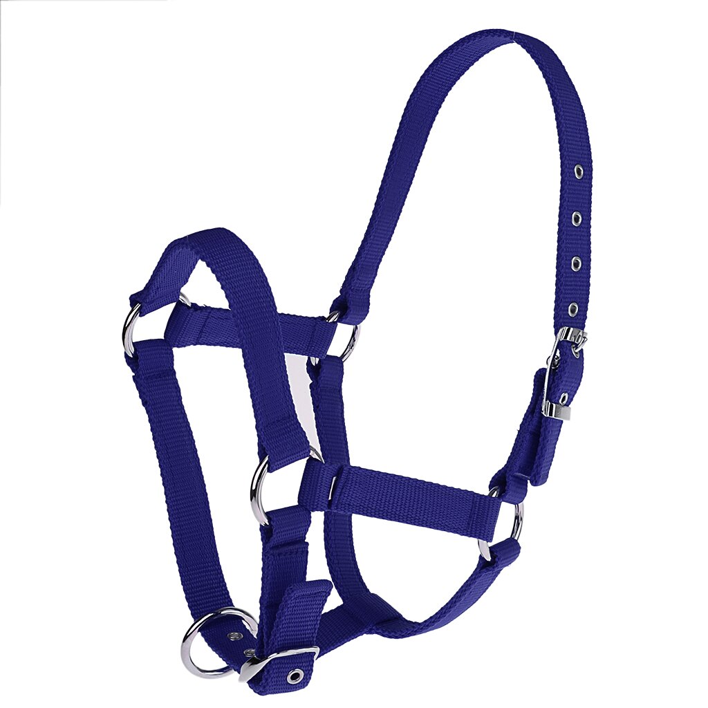 Licol de cheval réglable, sangle en Nylon, 6mm