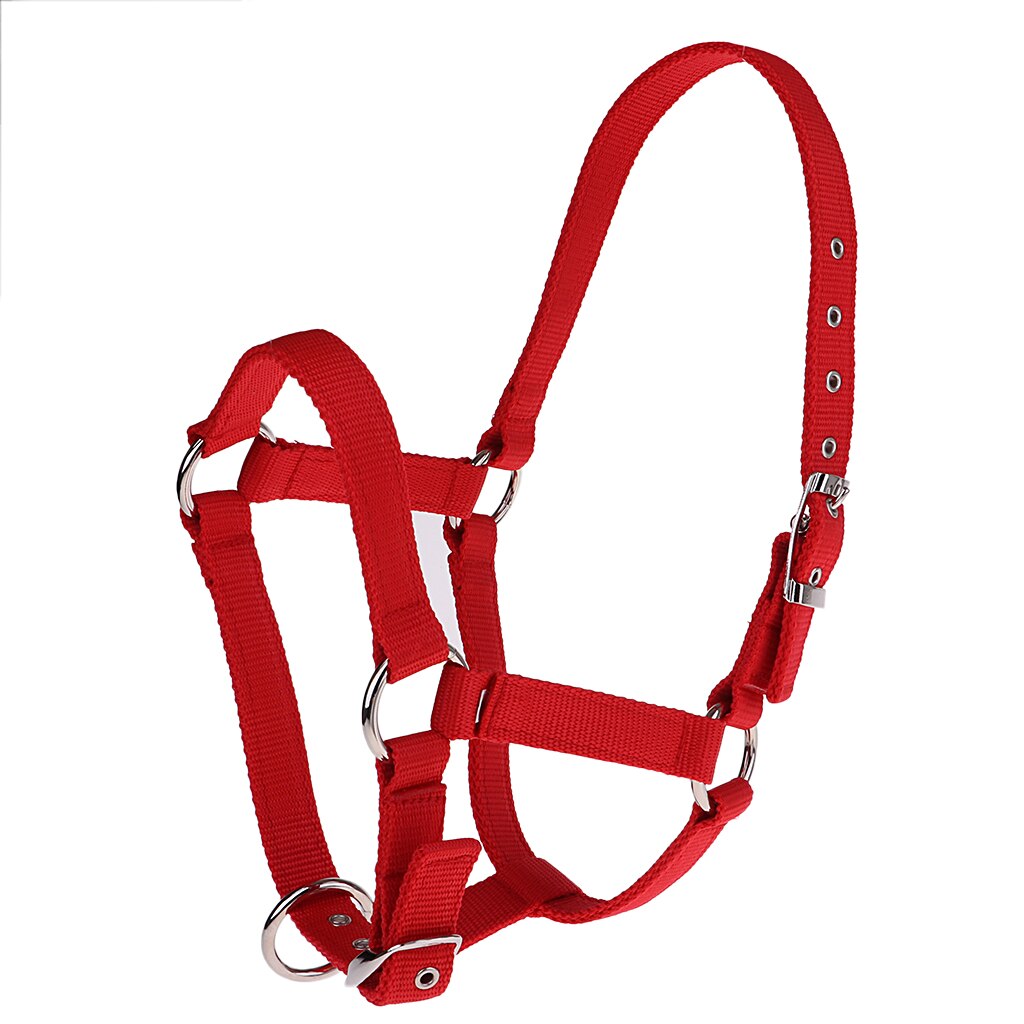 Licol de cheval réglable, sangle en Nylon, 6mm