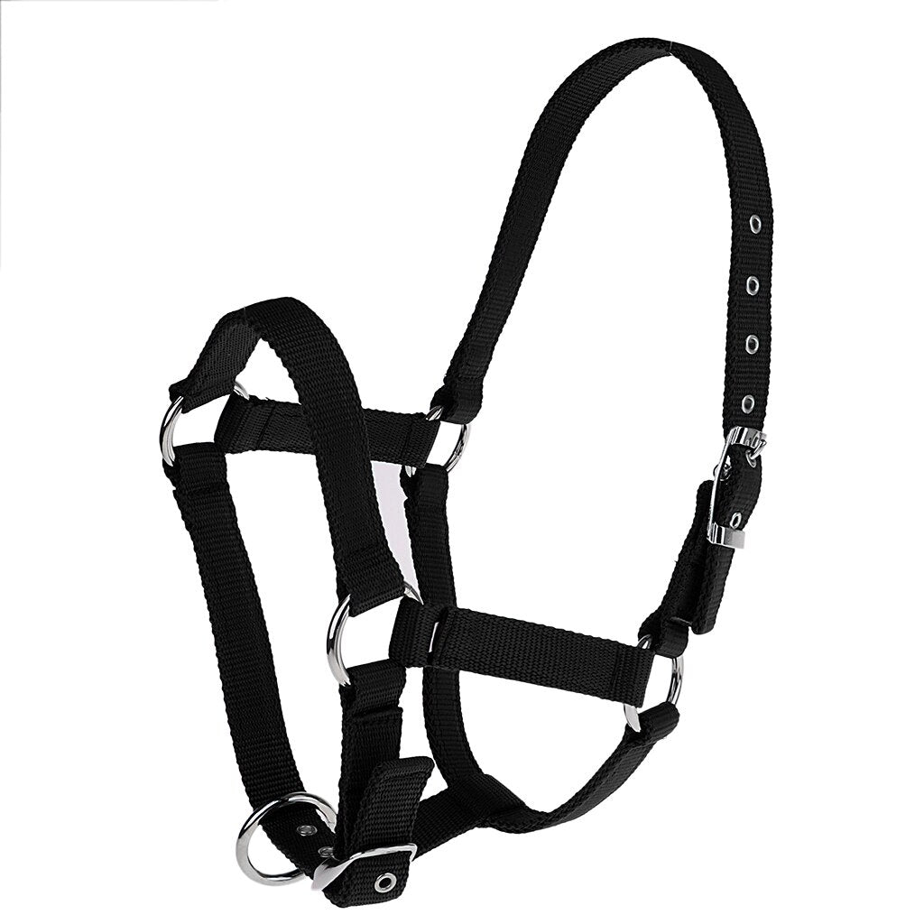 Licol de cheval réglable, sangle en Nylon, 6mm