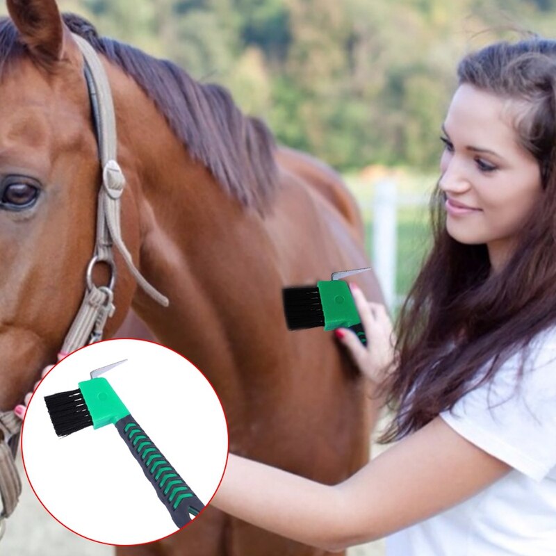 Cure-pied Brosse équitation cheval/poney - lot de 4 pièces